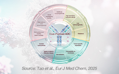 Next-Generation Dual-Payload ADCs: Target Selection, Payload Synergy, and Clinical Pipeline Analysis